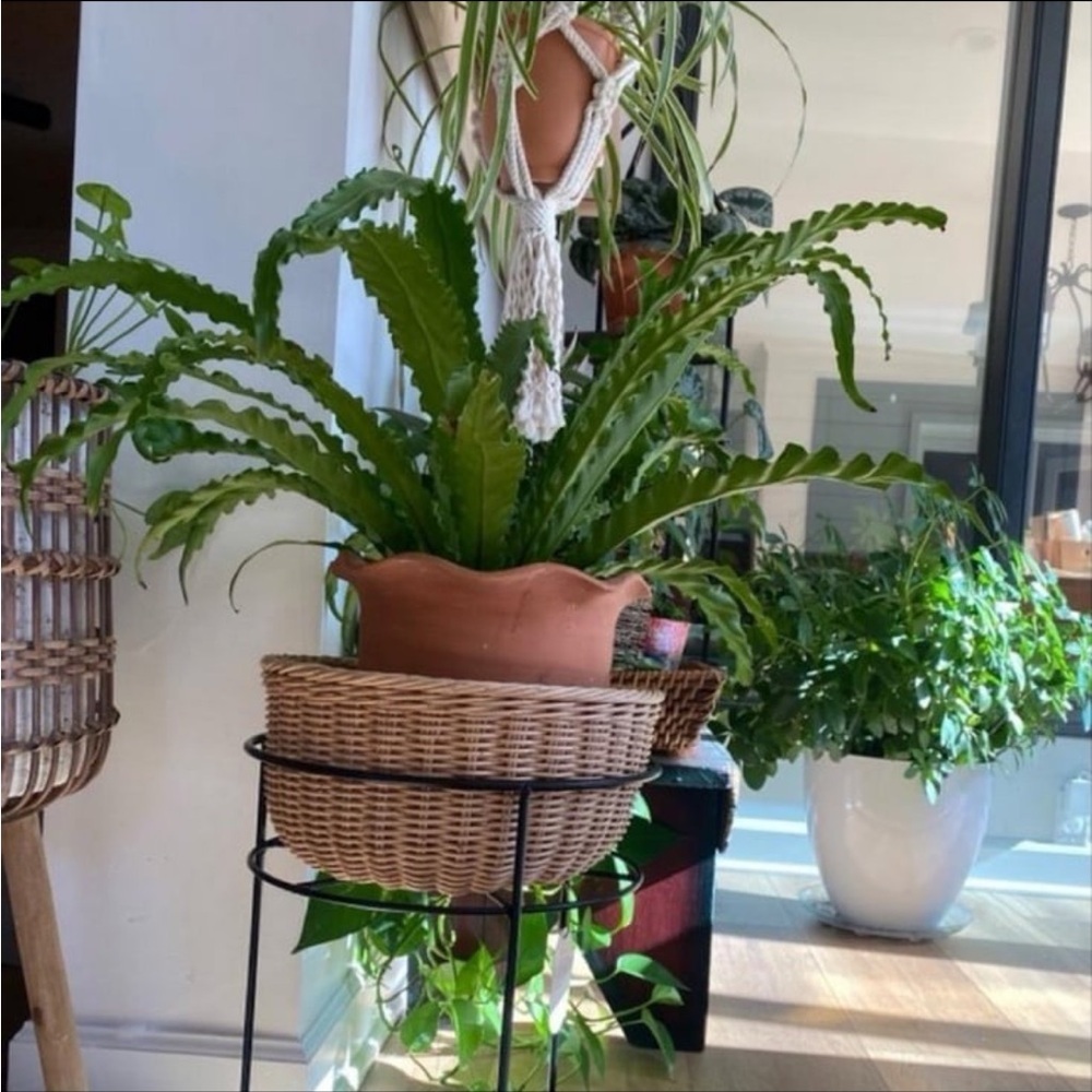 Studio McGee Small Wicker/Metal Indoor Outdoor Planter Stand Black - Picture 7 of 8